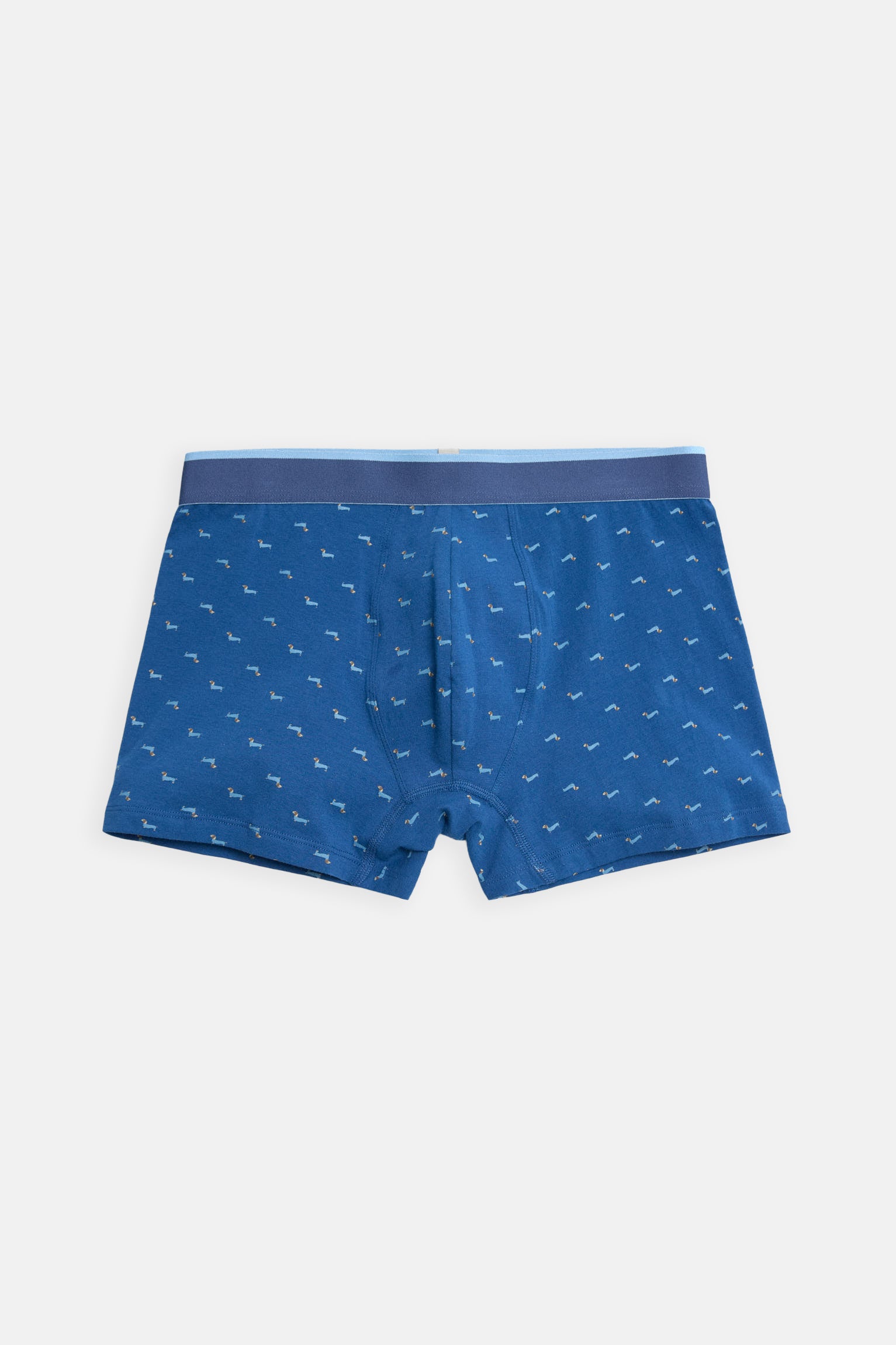 Pack bóxer y calcetín estampado perro salchicha