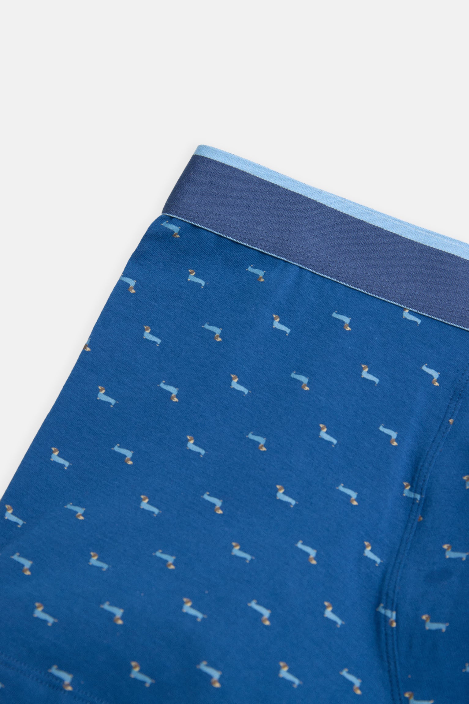 Pack bóxer y calcetín estampado perro salchicha