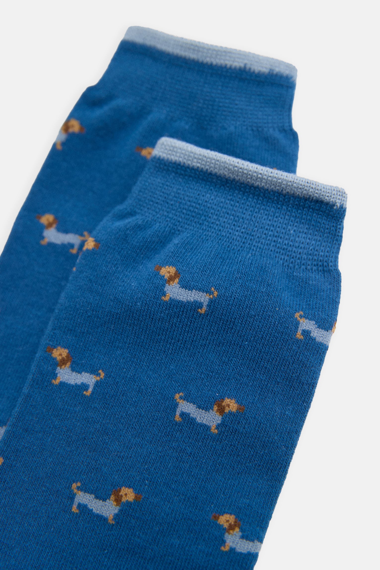 Pack bóxer y calcetín estampado perro salchicha
