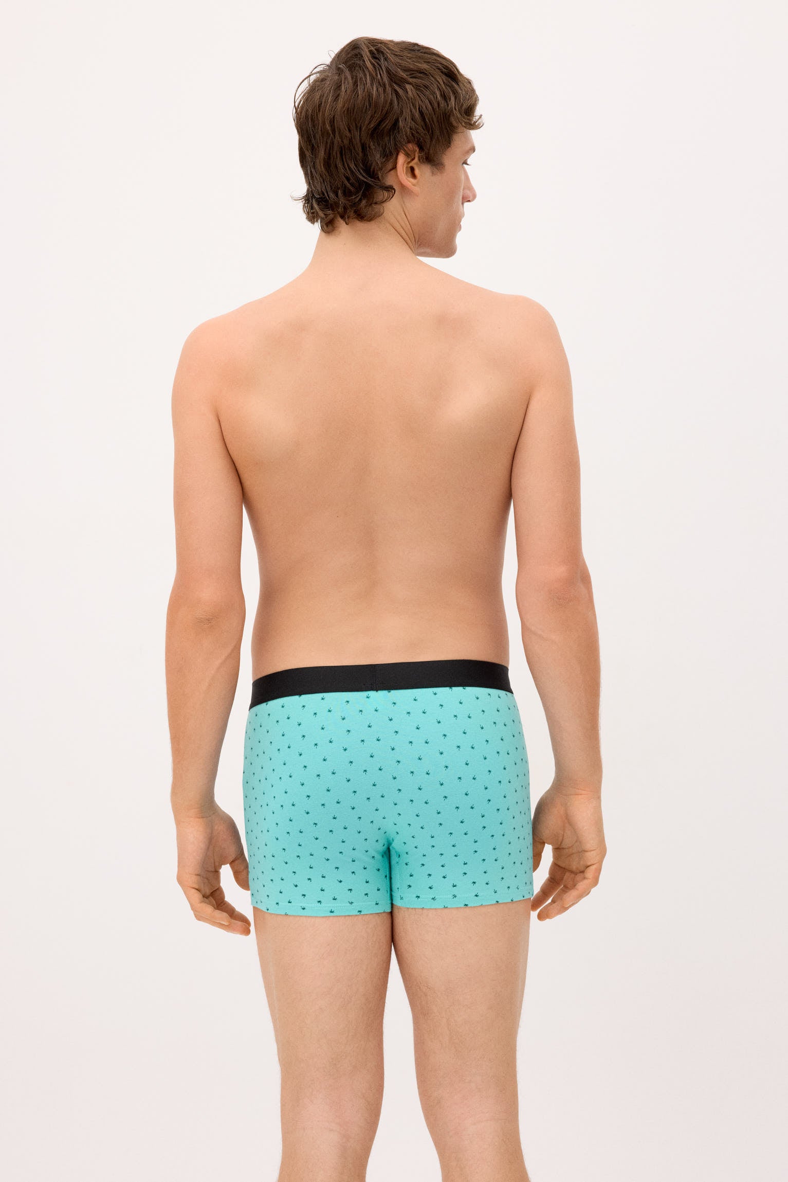 Pack 2 bóxers estampados variados caravana y palmera - Ysabel Mora