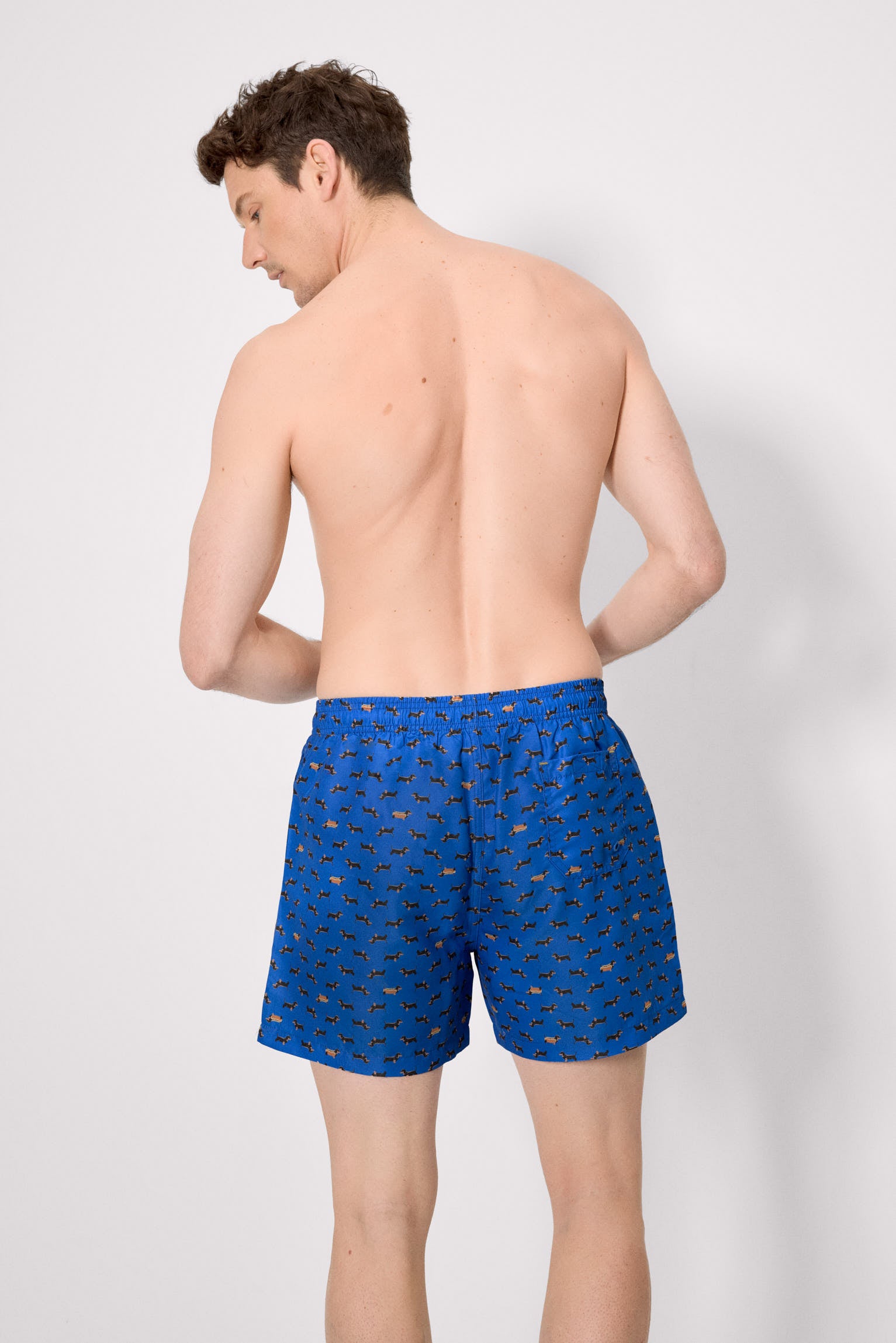 Bañador medio estampado perros salchichas azul