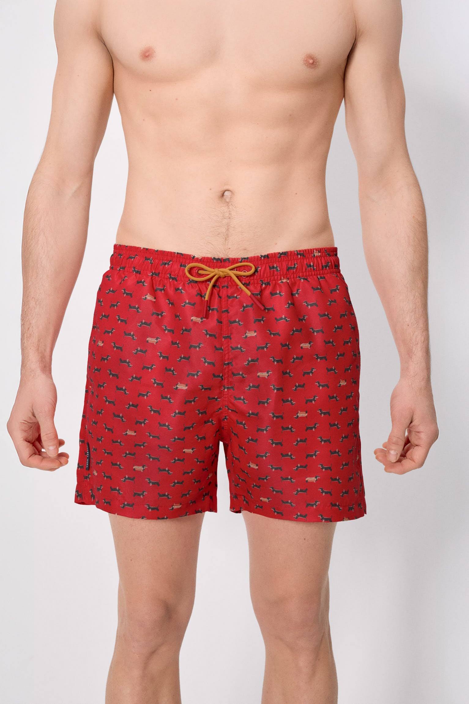 Bañador medio estampado perros salchichas rojo