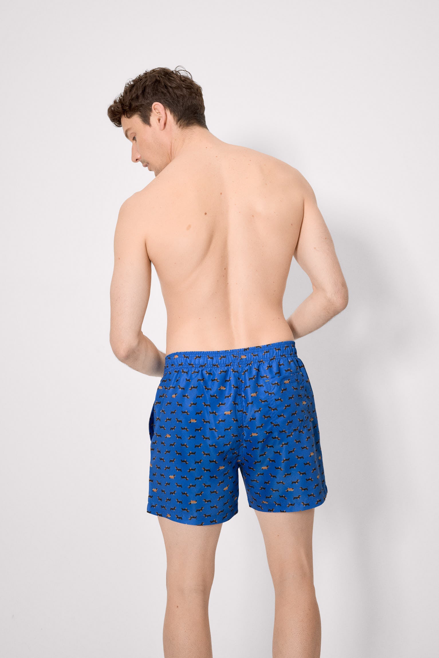 Bañador largo estampado perros salchicha azul