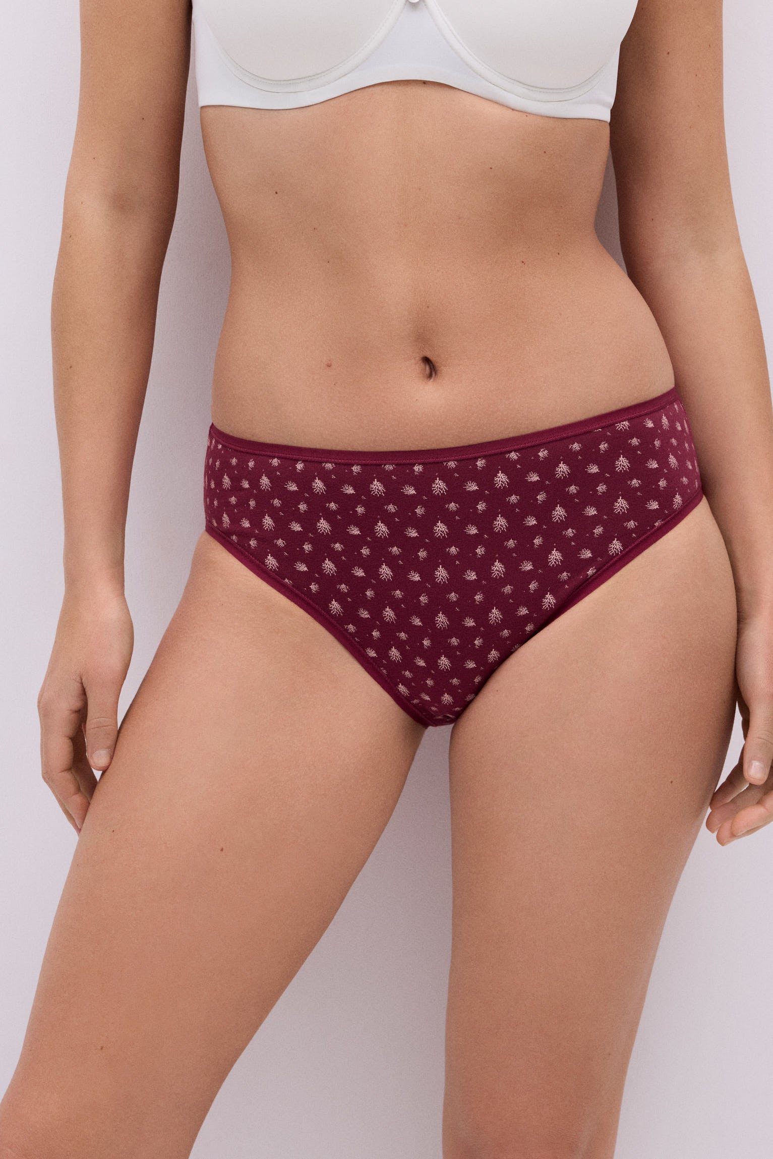 Pack 6 bragas midi algodón estampadas veraniegas
