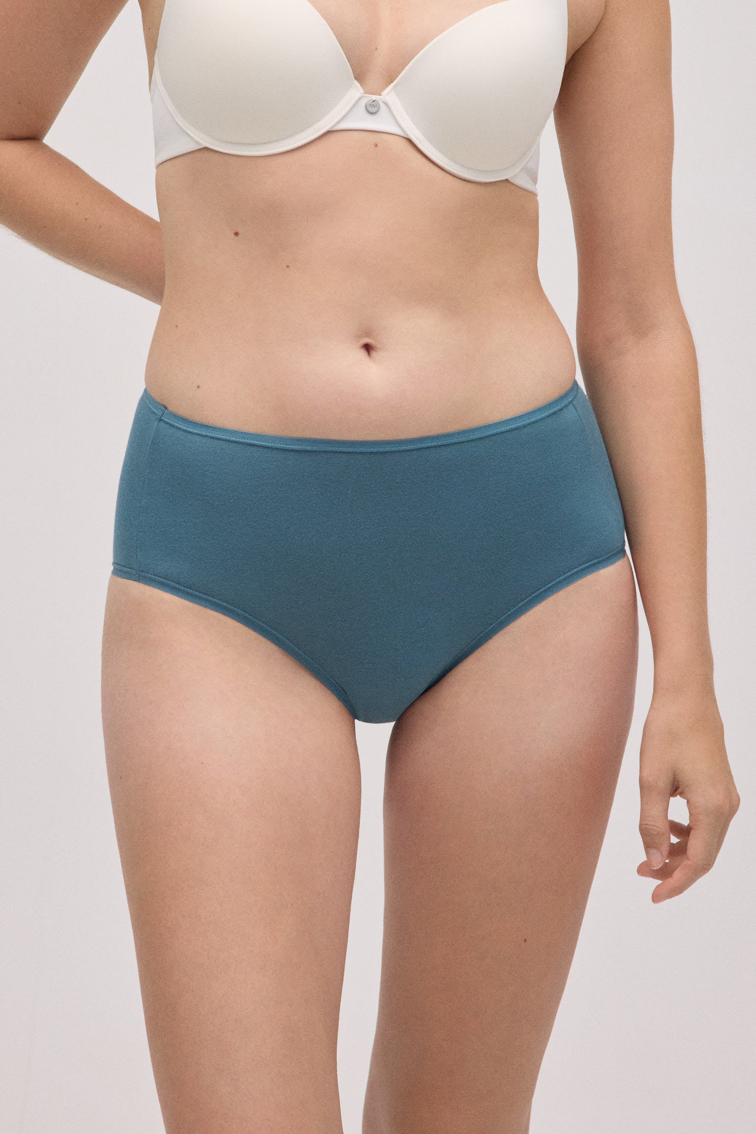 Pack of 4 basic cotton high-rise panties