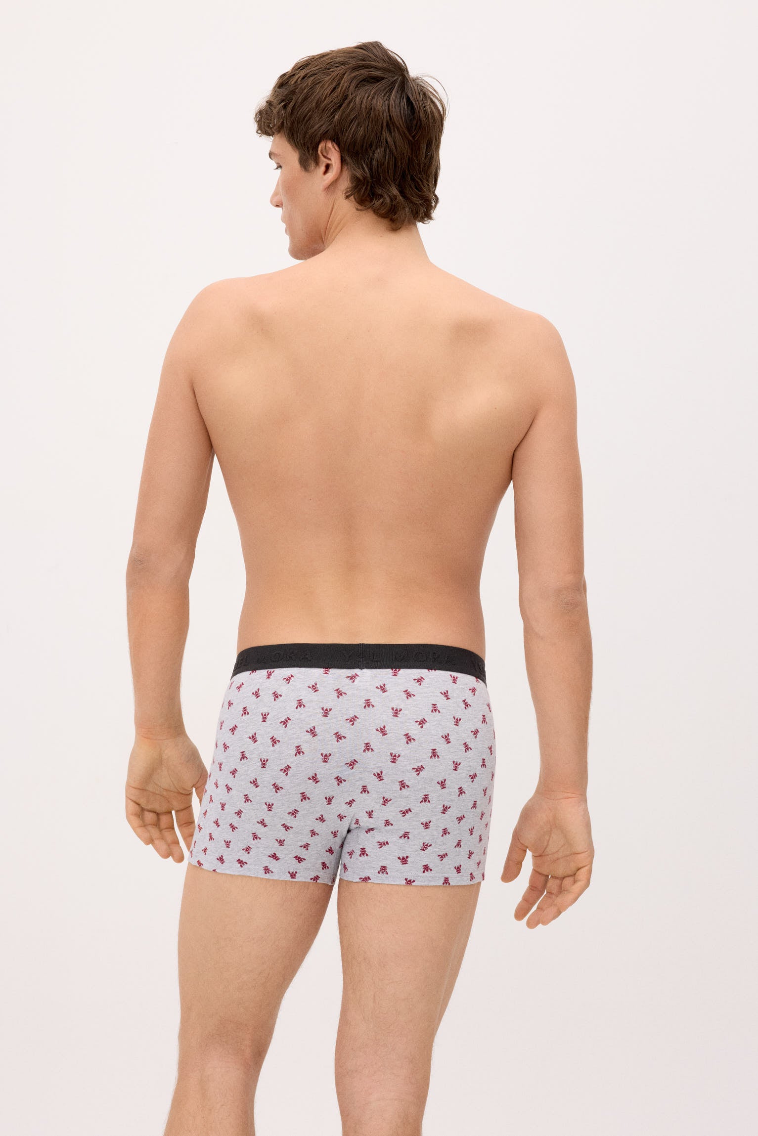 Pack 6 bóxers estampado animales