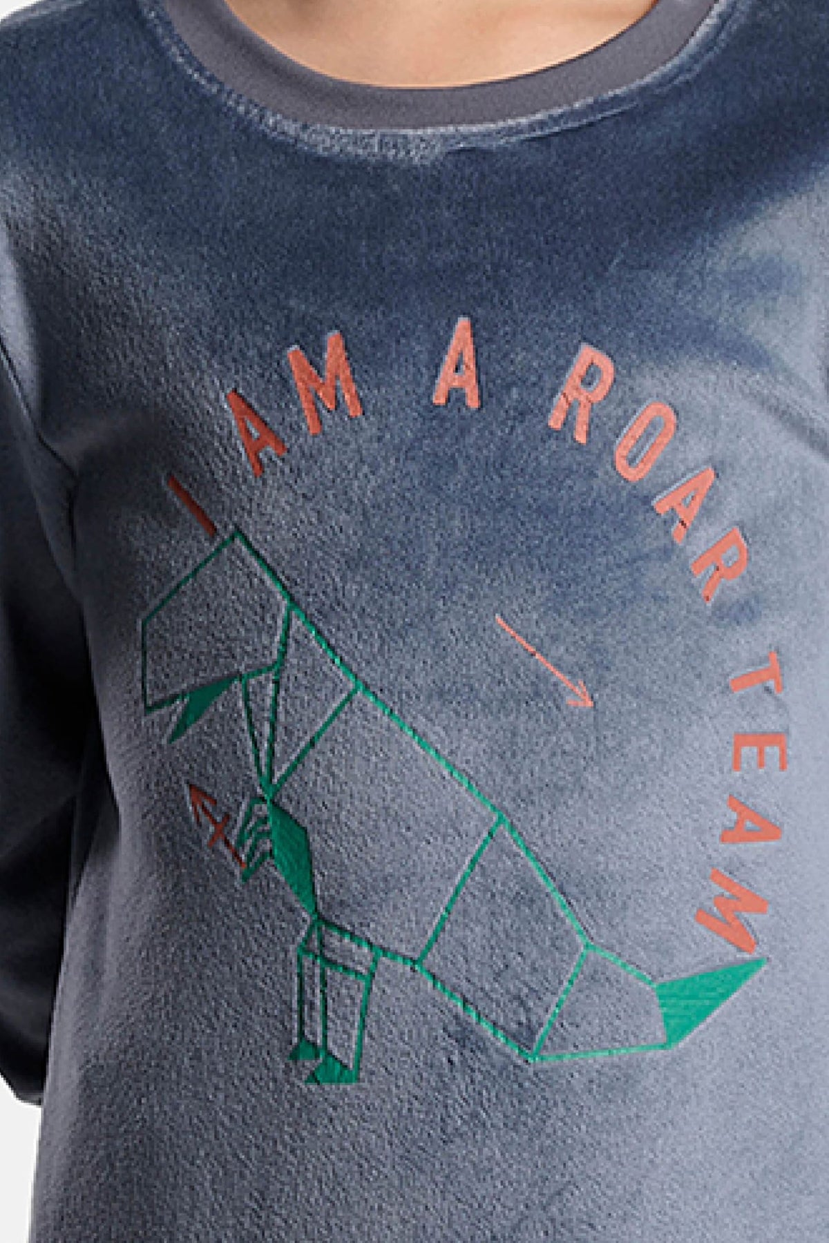 Pijama largo niño terciopelo I am a roar team estampado dinosaurios