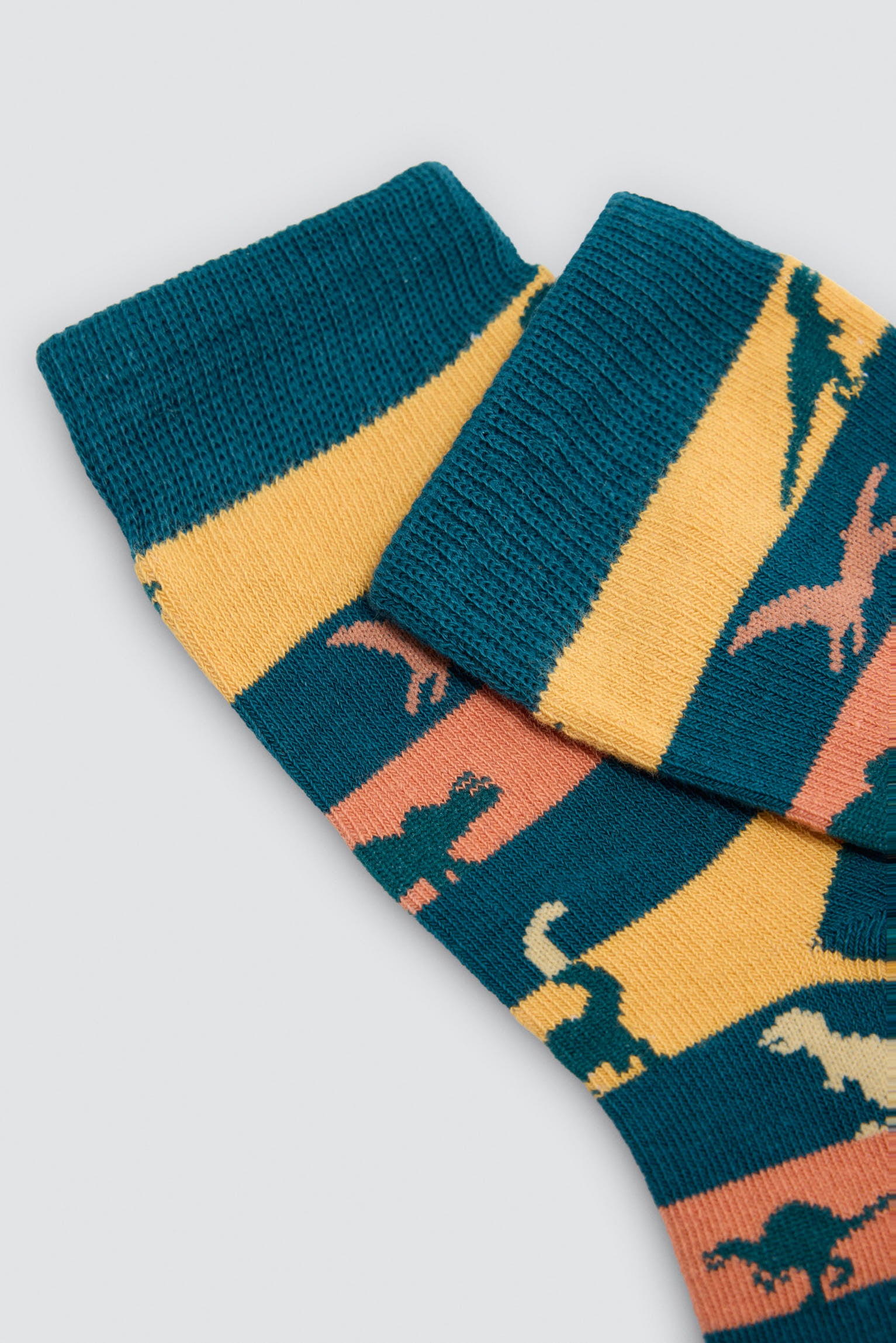 Pack 4 calcetines estampado dinosaurios