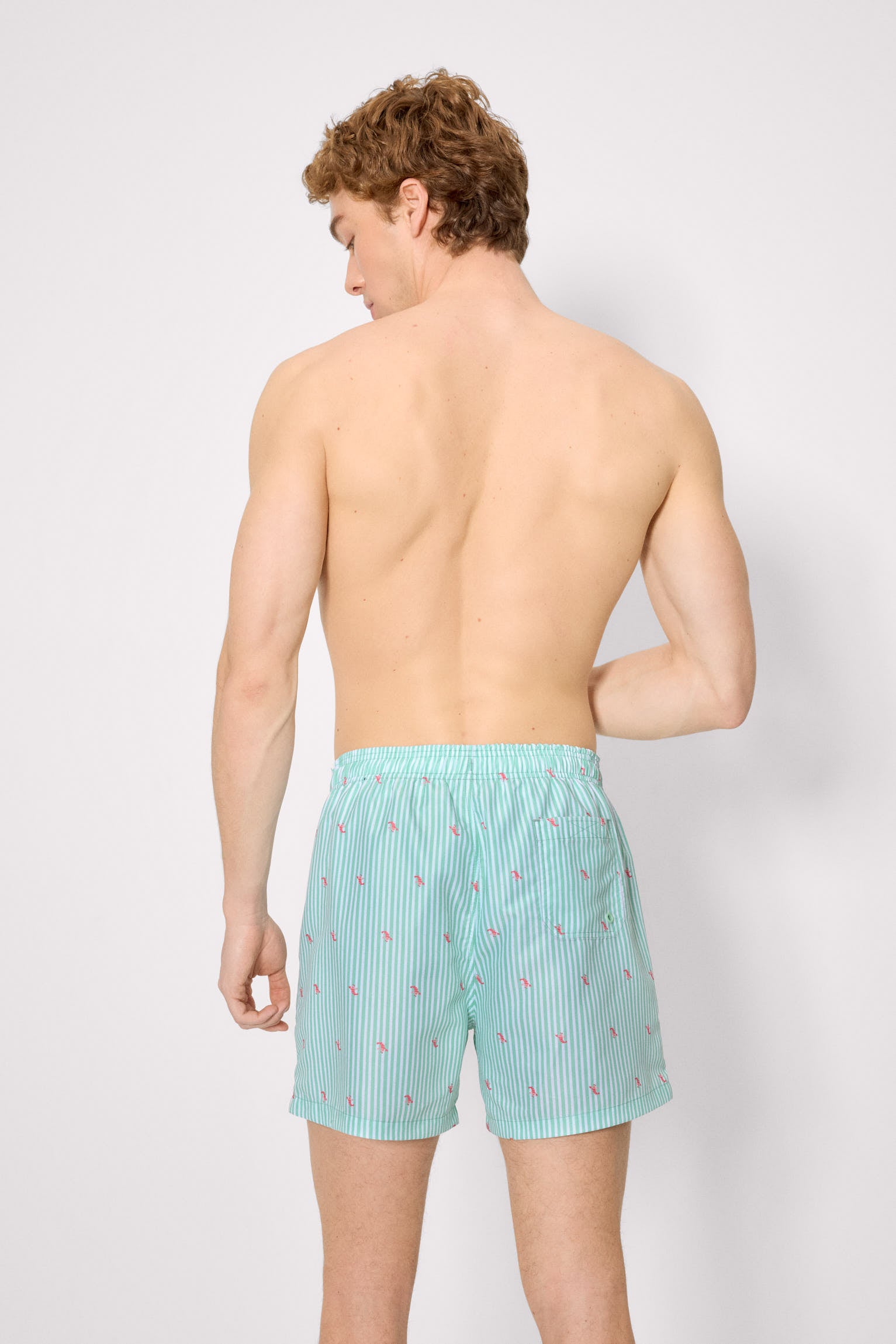 Bañador medio estampado rayas y mini langostas verde