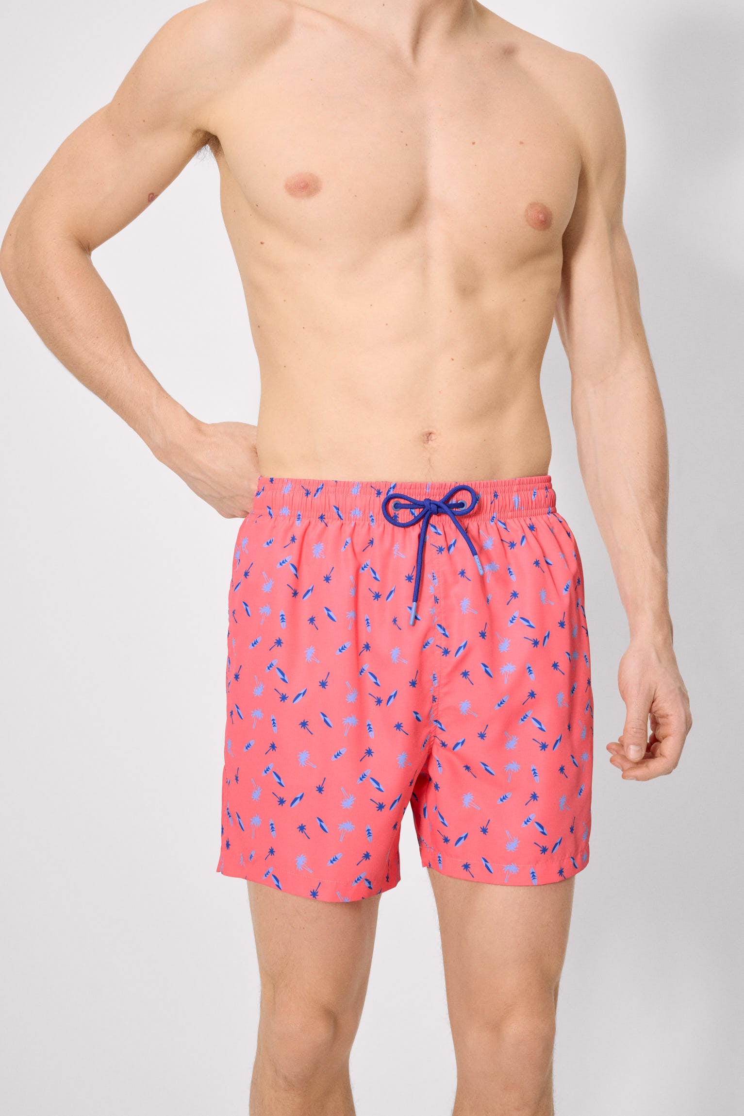 Bañador medio estampado palmeras y tablas de surf