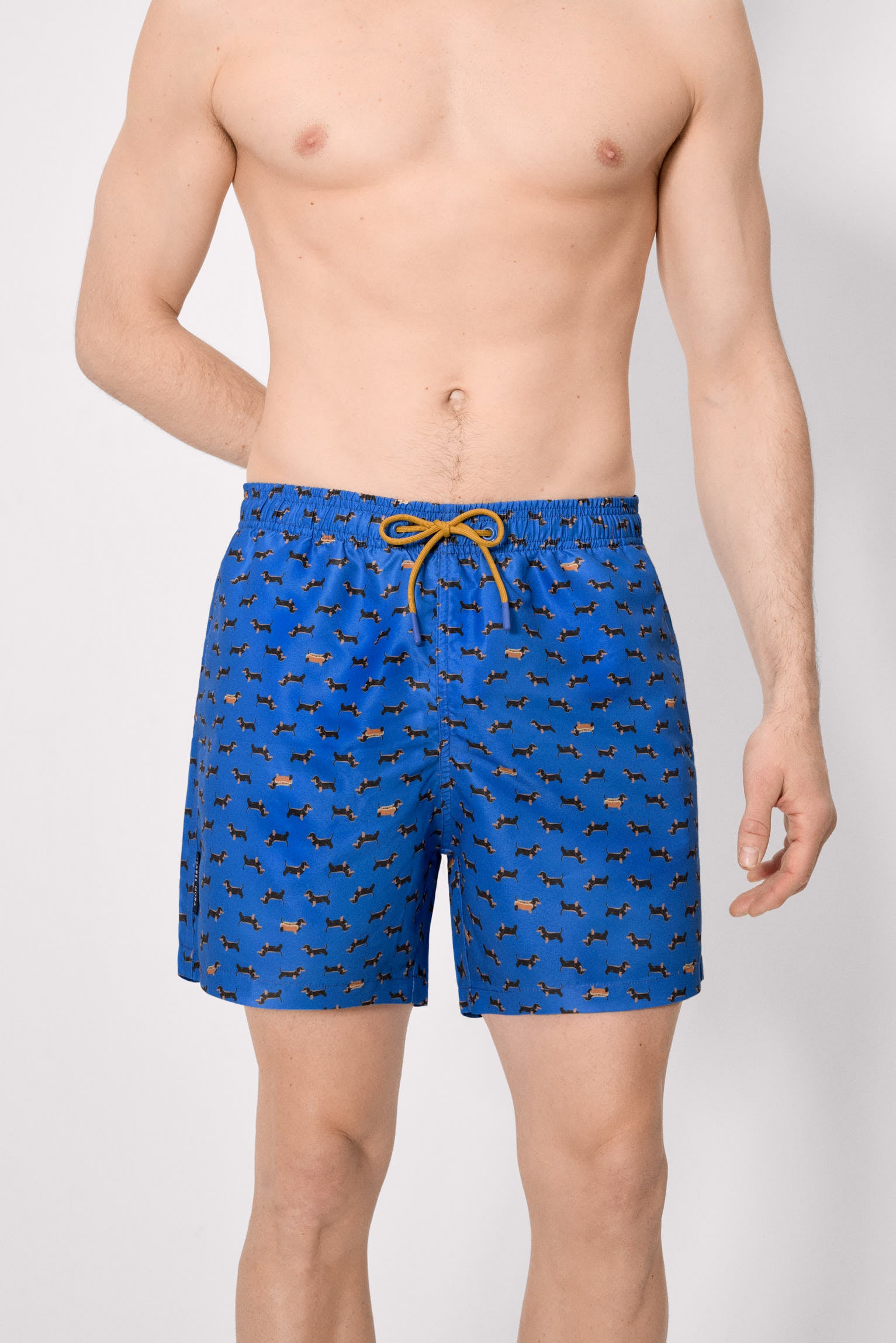 Bañador largo estampado perros salchicha azul