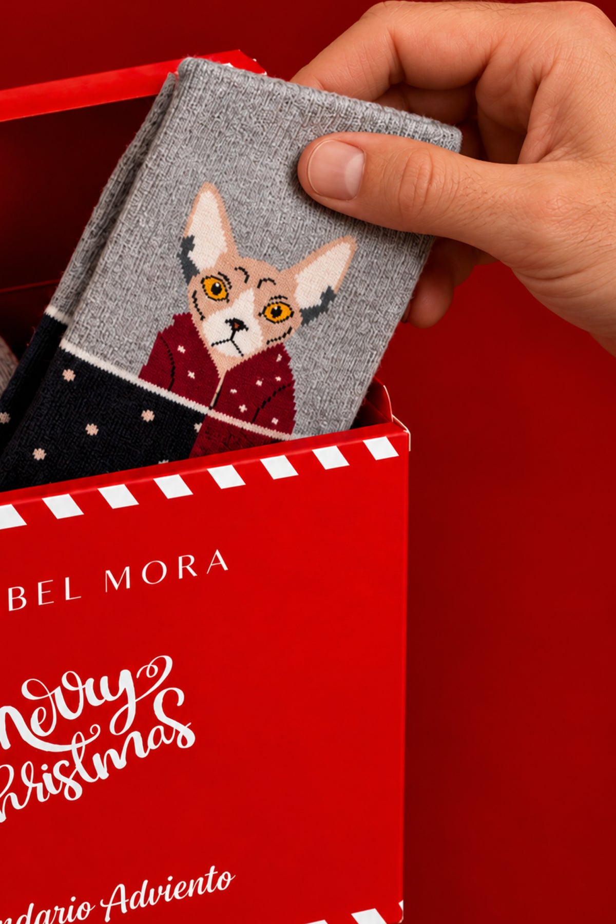 PREVENTA Calendario de adviento Essential 12 días hombre